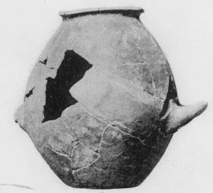 JAR (VILLA NOVA)