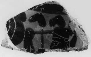 AMPHORA, BELLY, FRAGMENT (ATHENIAN, BLACK-FIGURE)