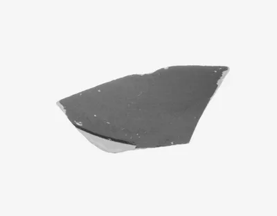 Attic Black-Figure Cup Fragment