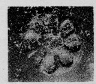 CUP, STEMLESS, FRAGMENT (SOUTH ITALIAN, CAMPANIAN, RELIEF)