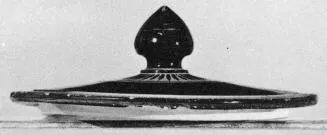 LID (ATHENIAN, BLACK-FIGURE)