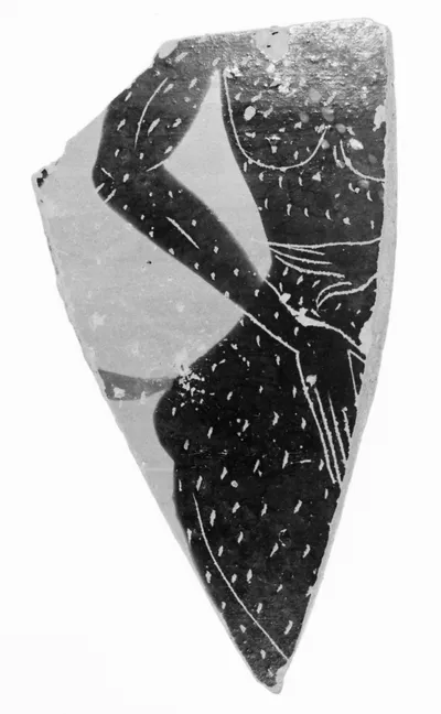 Attic Black-Figure Amphora Fragment