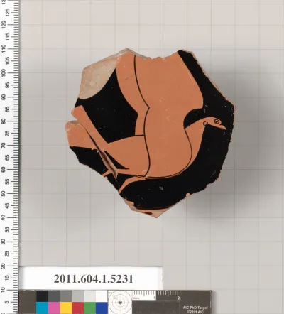 Terracotta fragment of a kylix (drinking cup)