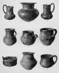 VARIOUS (SARVAS)