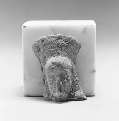 Female Head