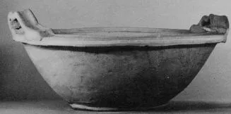 DISH (SOUTH ITALIAN, APULIAN)