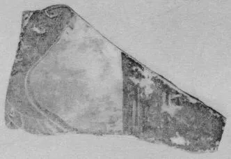 AMPHORA, BELLY, FRAGMENT (ETRUSCAN, BLACK-FIGURE)