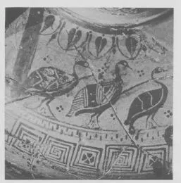 AMPHORA, NECK (EAST GREEK, FIKELLURA)