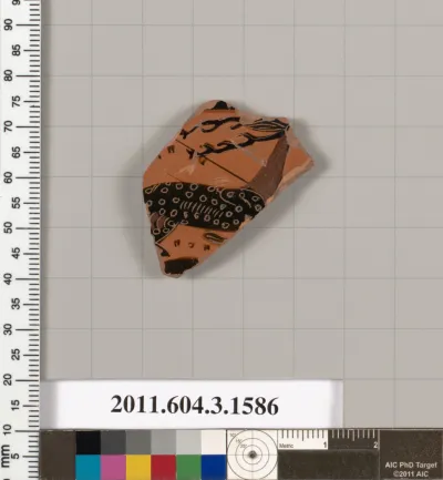 Terracotta fragment of a kylix: Band cup (drinking cup)