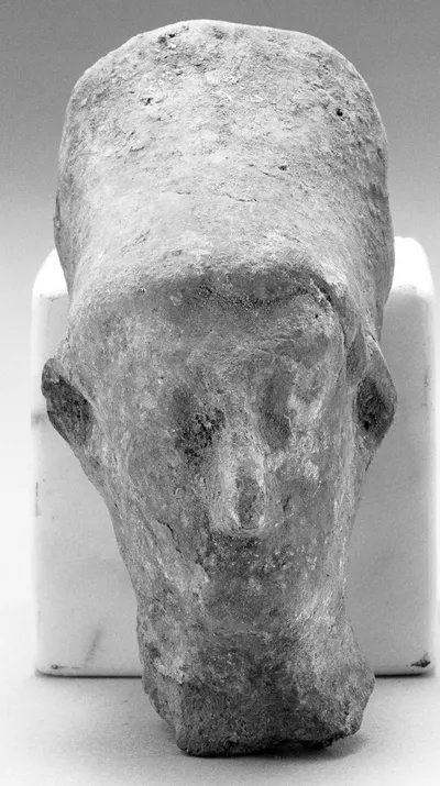Female(?) Head