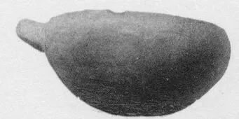 BOWL (VILLA NOVA)