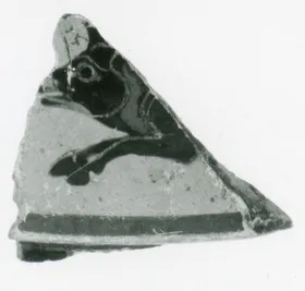 DINOS, FRAGMENTS (ATHENIAN, BLACK-FIGURE)