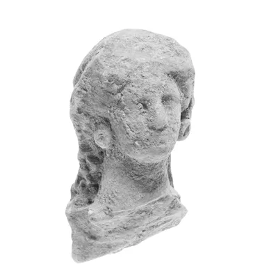 Head