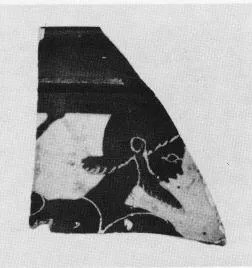 SKYPHOS, FRAGMENT (ATHENIAN, BLACK-FIGURE)