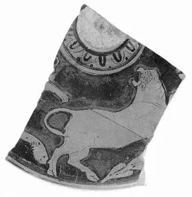 LEKANIS, FRAGMENT (ATHENIAN, RED-FIGURE)