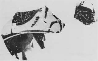 AMPHORA (?), FRAGMENTS (ATHENIAN, BLACK-FIGURE)