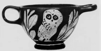 SKYPHOS (ATHENIAN, RED-FIGURE)