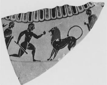 AMPHORA, NECK, FRAGMENT (ATHENIAN, BLACK-FIGURE)