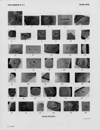 VARIOUS (TERRA SIGILLATA)