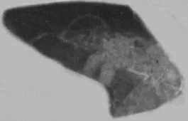 CUP, FRAGMENT (ATHENIAN, RED-FIGURE)