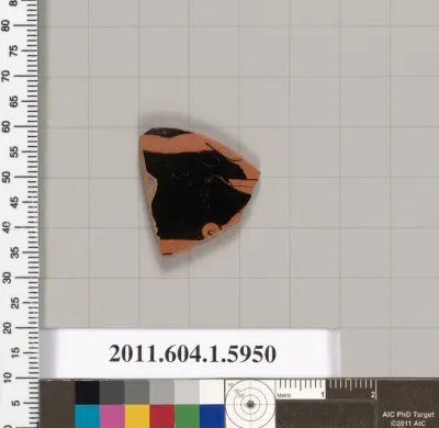 Terracotta fragment of a kylix (drinking cup)