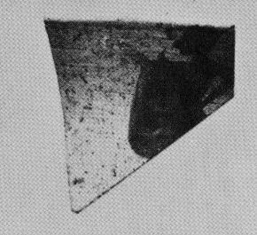 CUP, FRAGMENT (PONTIC)