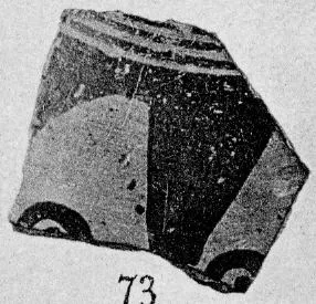 LID, FRAGMENT (PROTOATTIC)