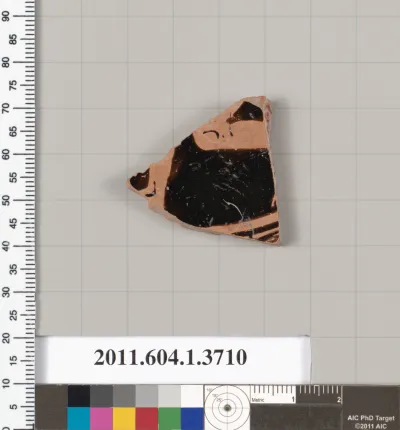 Terracotta fragment of a kylix (drinking cup)