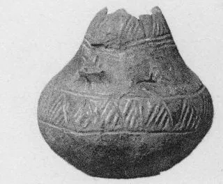 JAR (VILLA NOVA)