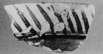 AMPHORA, BELLY, FRAGMENT (EAST GREEK)