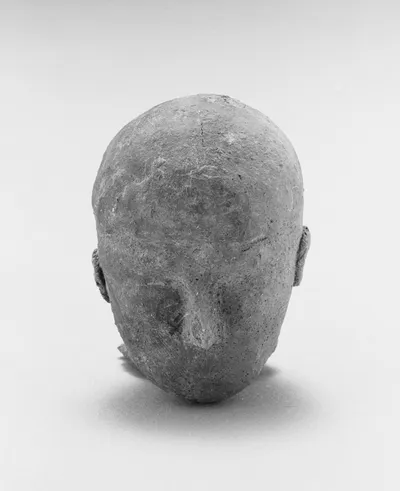 Male Head