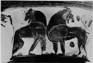 AMPHORA, NECK (PSEUDO-CHALCIDIAN, BLACK-FIGURE)