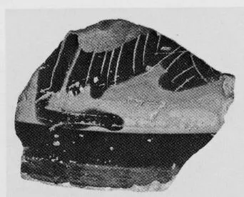LEKANIS LID, FRAGMENT (CHALCIDIAN, BLACK-FIGURE)