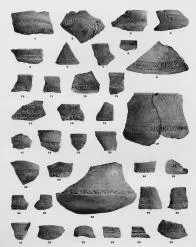 VARIOUS (VUCEDOL)