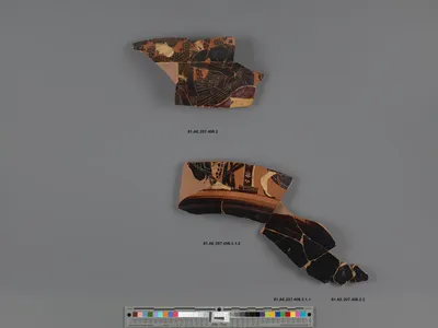 Attic Black-Figure Column Krater Fragment (part of 81.AE.207.408, comprised of 5 Joined Fragments)
