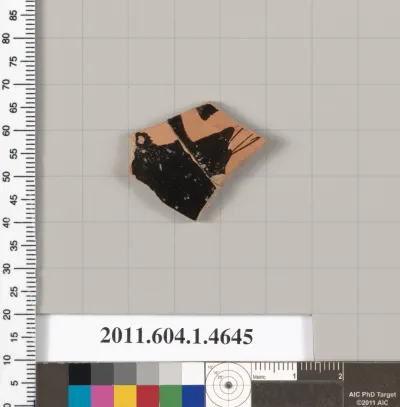 Terracotta fragment of a kylix (drinking cup)