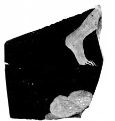 KRATER, FRAGMENT (ATHENIAN, RED-FIGURE)