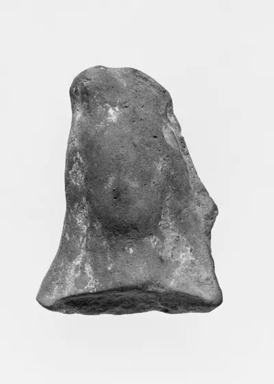 Female Head