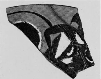 KYATHOS, FRAGMENT (ATHENIAN, BLACK-FIGURE)