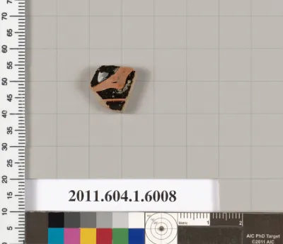 Terracotta fragment of a kylix (drinking cup)