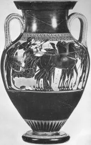 AMPHORA, BELLY, TYPE A (ATHENIAN, BLACK-FIGURE)