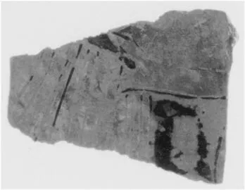 PELIKE (?), FRAGMENT (ATHENIAN, RED-FIGURE)