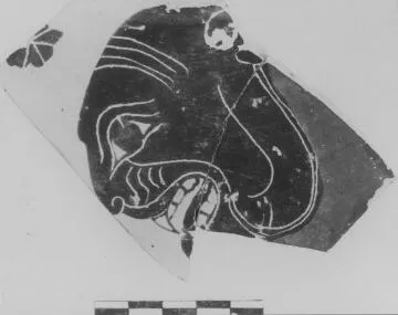 AMPHORA, NECK, FRAGMENT (ATHENIAN, BLACK-FIGURE)