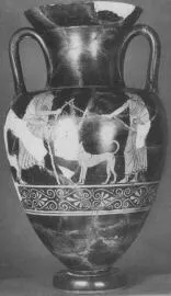 AMPHORA, NECK (ATHENIAN, RED-FIGURE)