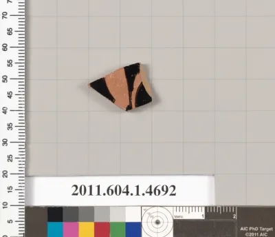 Terracotta fragment of a kylix (drinking cup)