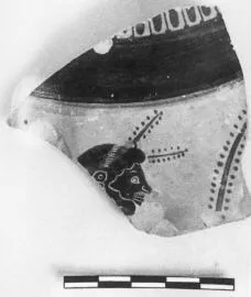 PSEUDO-PANATHENAIC AMPHORA, FRAGMENT (ATHENIAN, BLACK-FIGURE)