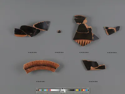 Attic Black-Figure Column Krater Fragment
