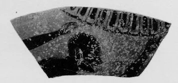 AMPHORA, PANATHENAIC PRIZE, FRAGMENT (ATHENIAN, BLACK-FIGURE)