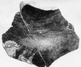 CHOUS, FRAGMENT (ATHENIAN, RED-FIGURE)