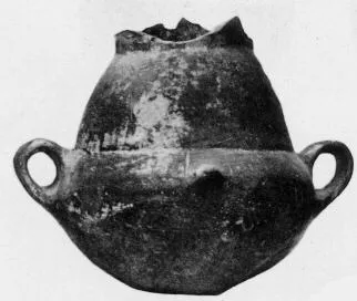 AMPHORA, BELLY (VILLA NOVA)